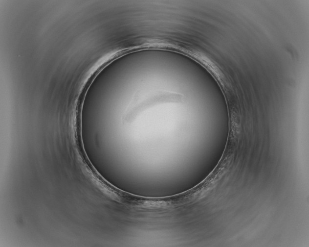 X0000113131142200909181704