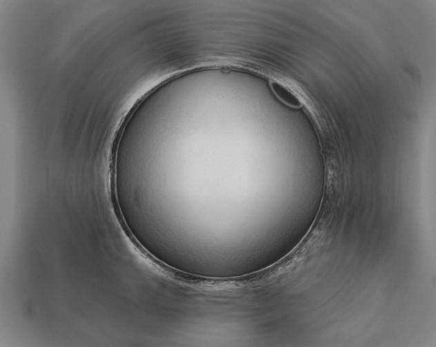 X0000113131143200909181704