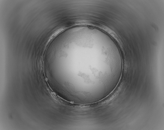 X0000113131145200909181704