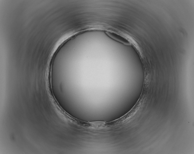 X0000113131146200909181704