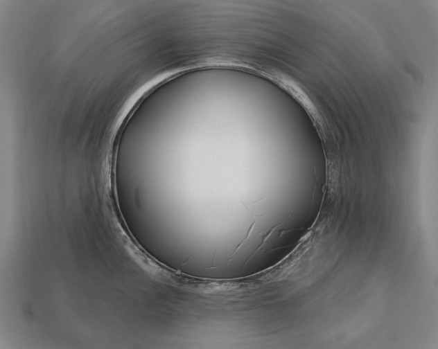 X0000113131148200909181704