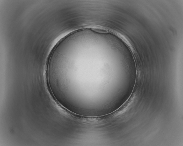 X0000113131149200909181704