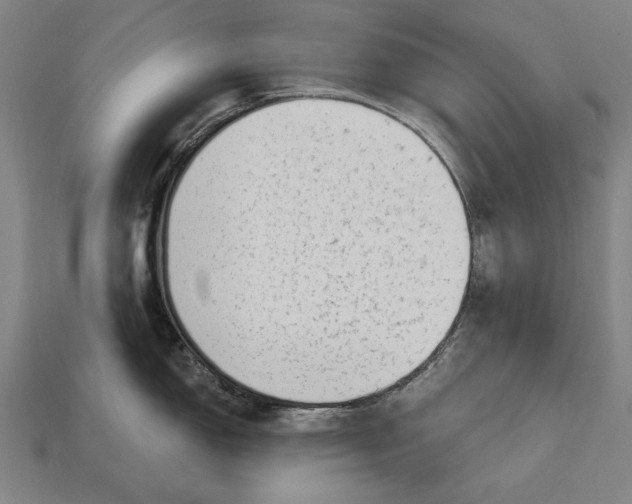 X0000113131150200909181704