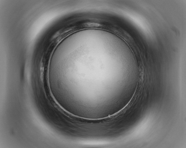 X0000113131151200909181704