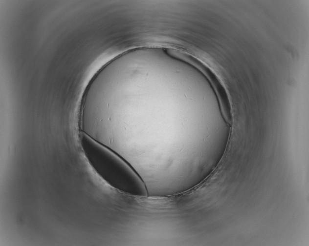 X0000113131152200909181704