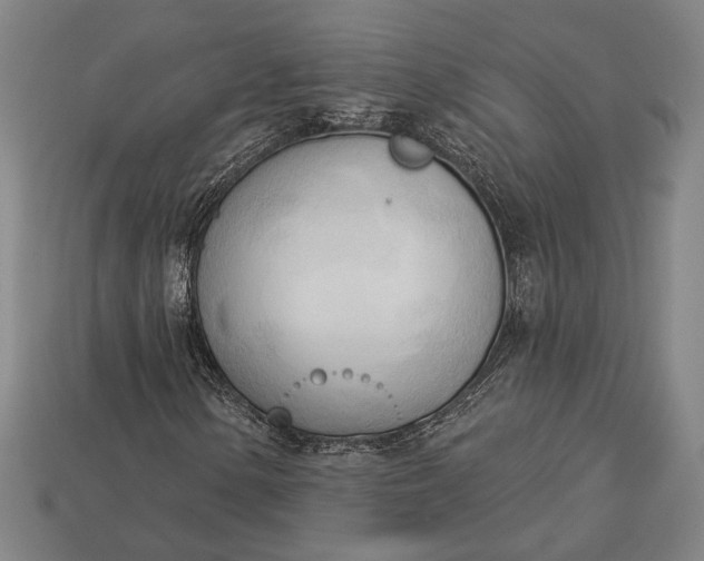 X0000113131154200909181703