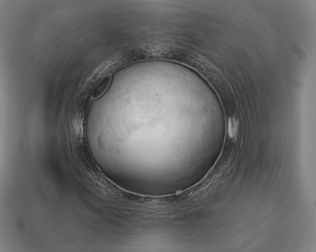 X0000113131155200909181703