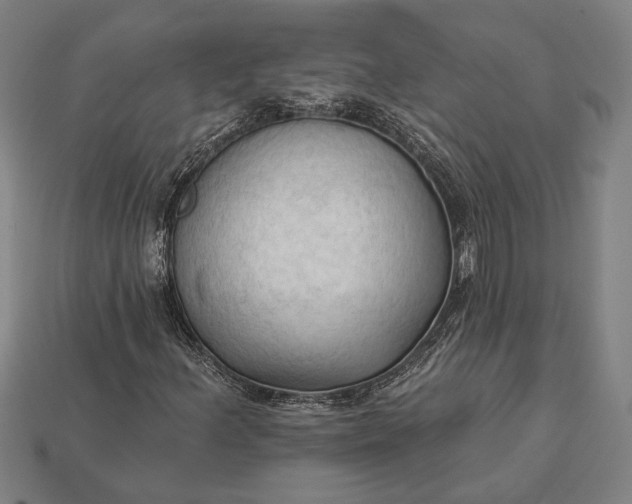 X0000113131156200909181703