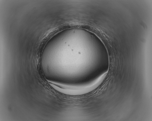 X0000113131157200909181703