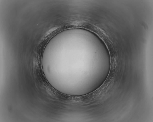 X0000113131158200909181703