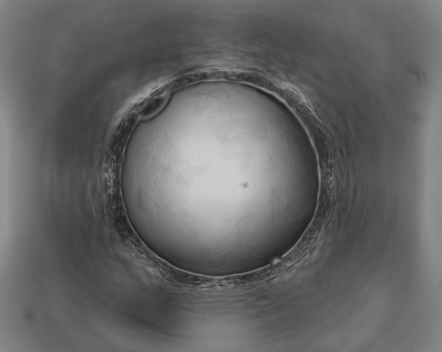 X0000113131159200909181703