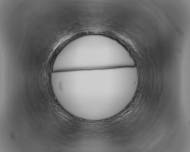 X0000113131160200909181703