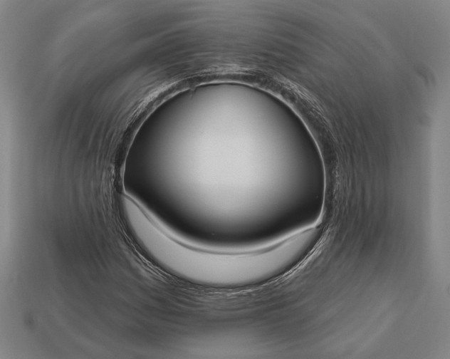 X0000113131161200909181703