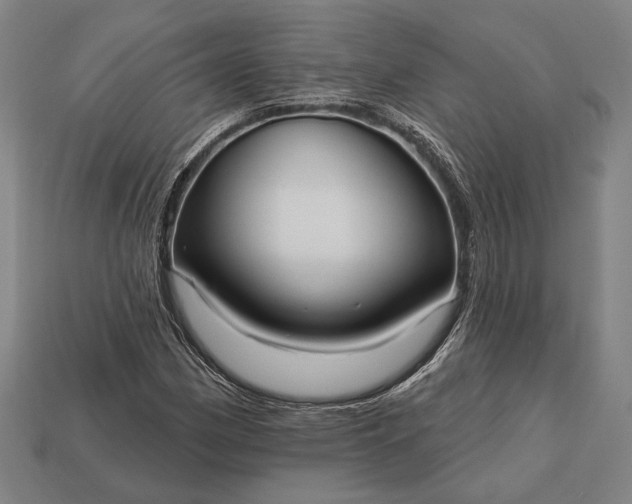 X0000113131162200909181703