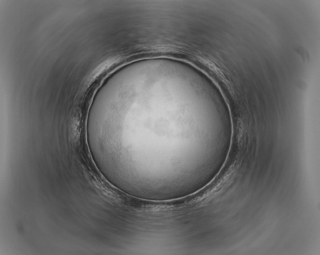 X0000113131163200909181703