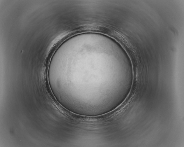 X0000113131164200909181703