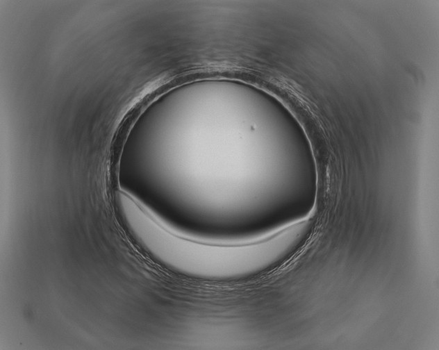 X0000113131165200909181703