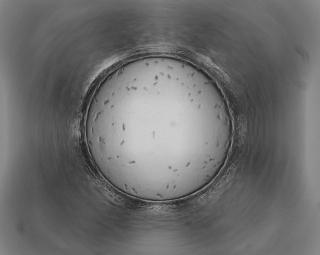 X0000113131166200909181703