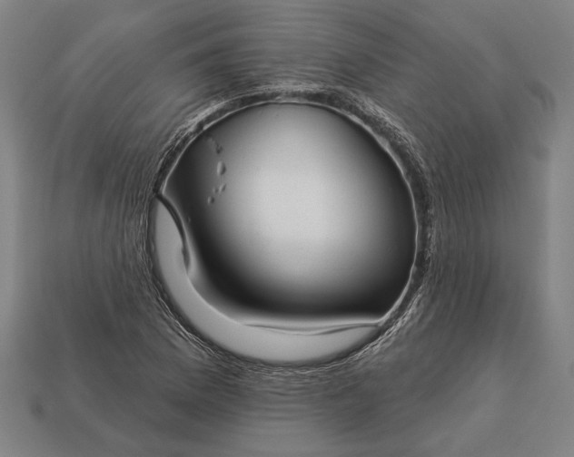 X0000113131169200909181703