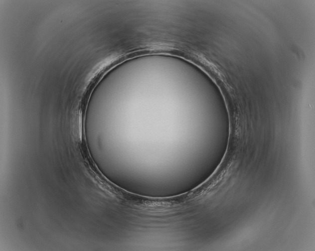 X0000113131171200909181703