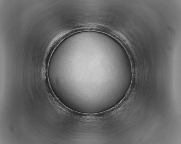 X0000113131172200909181703