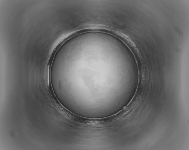 X0000113131175200909181703