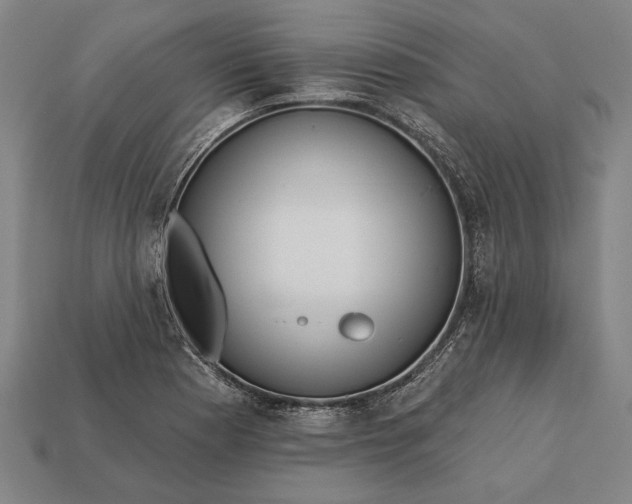 X0000113131177200909181703