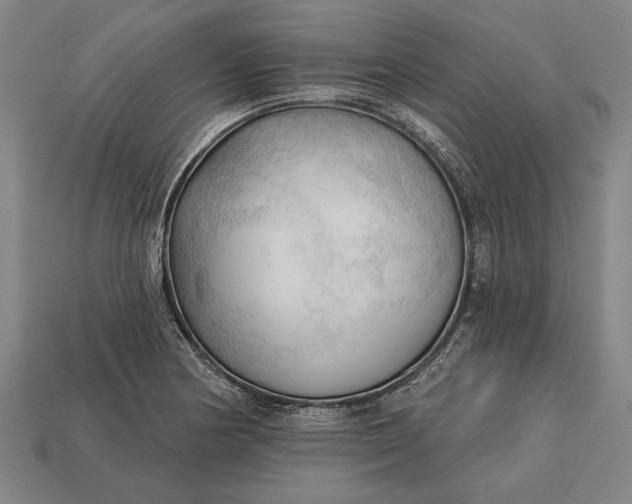 X0000113131178200909181703