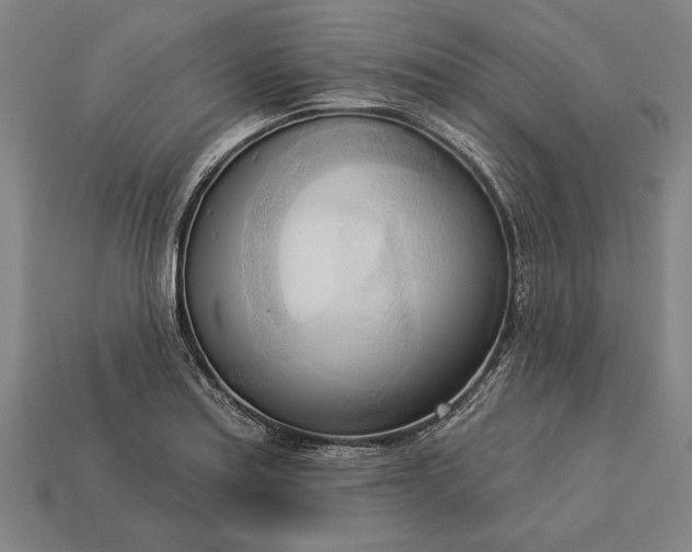 X0000113131179200909181703