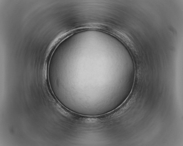 X0000113131180200909181703