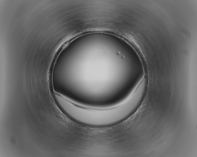 X0000113131181200909181703