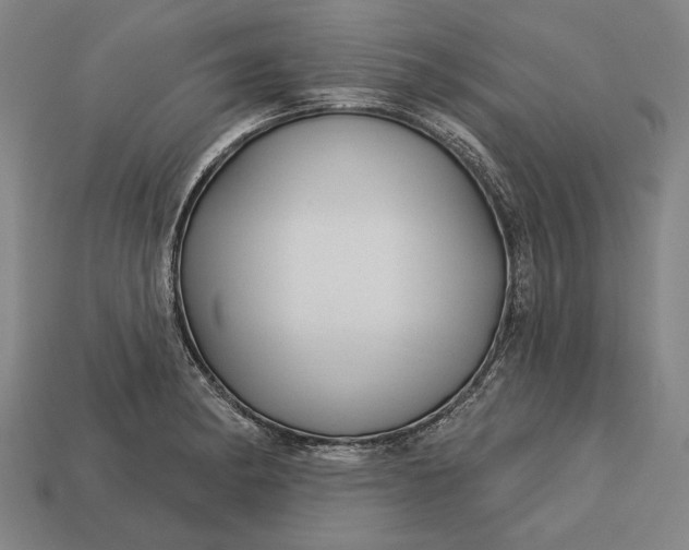 X0000113131182200909181703