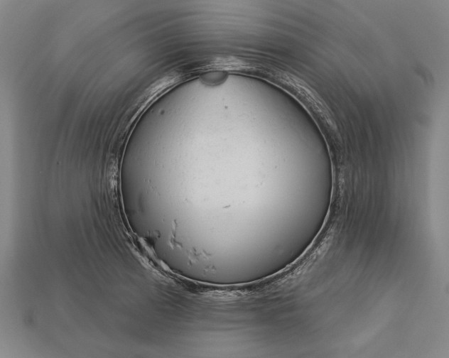 X0000113131185200909181703