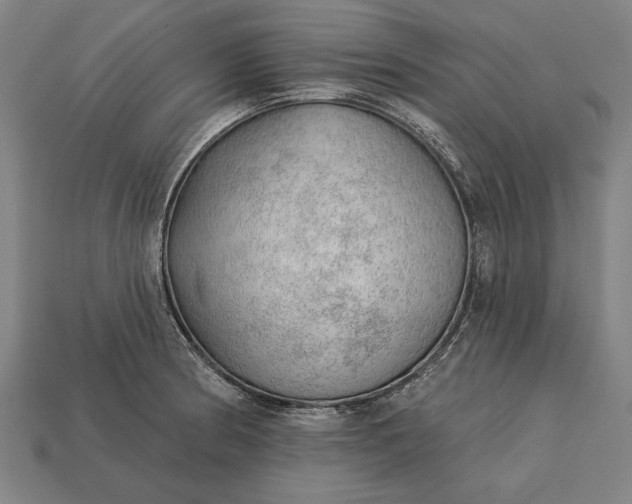 X0000113131186200909181703