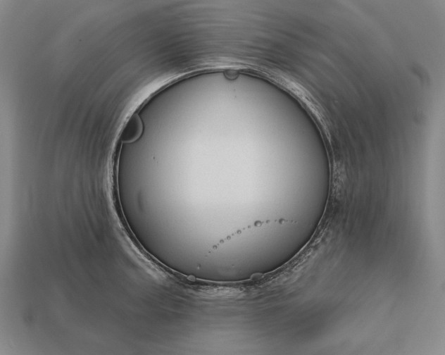 X0000113131187200909181703