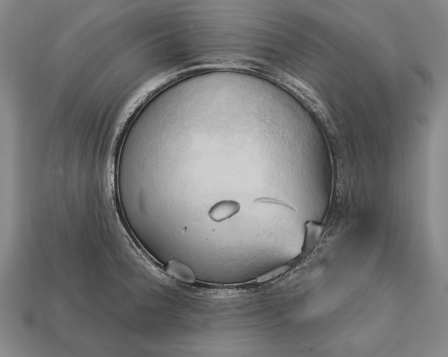 X0000113131188200909181703