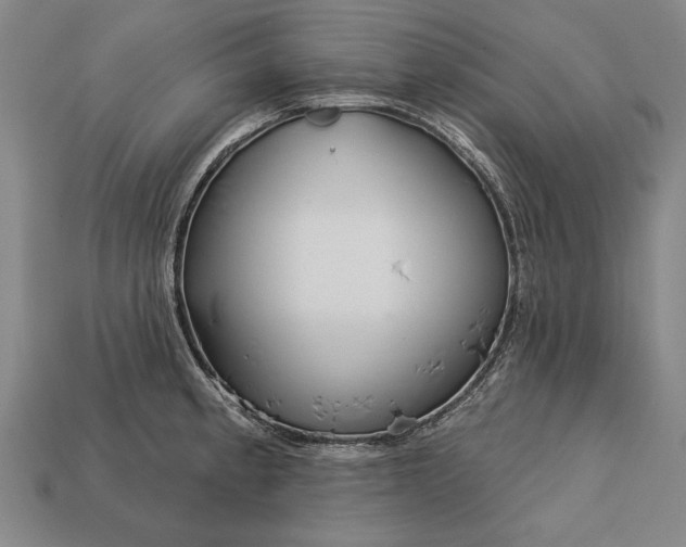 X0000113131189200909181703