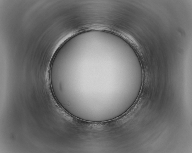 X0000113131190200909181703