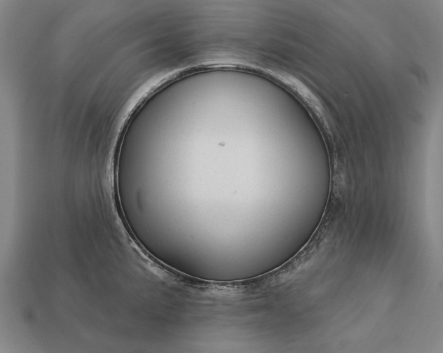 X0000113131191200909181703