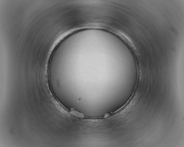 X0000113131192200909181703