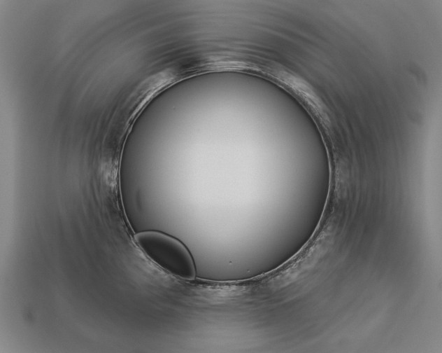 X0000113131193200909181703