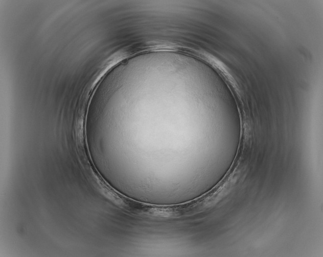 X0000113131194200909181703