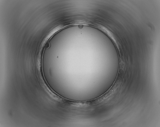 X0000113131195200909181703