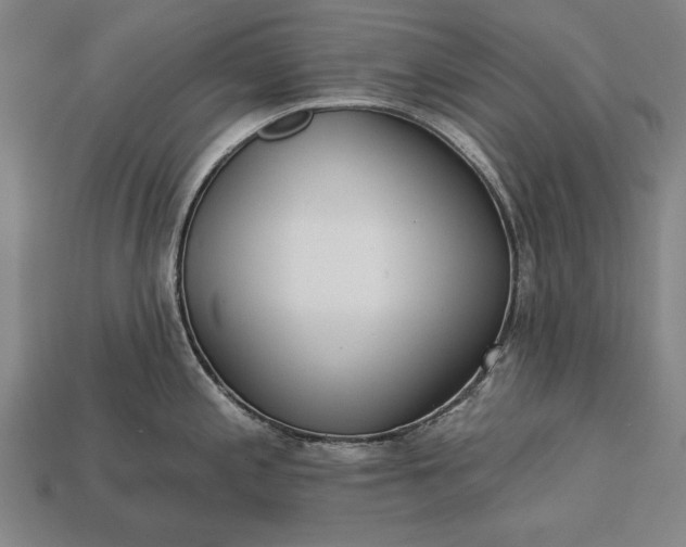 X0000113131197200909181703