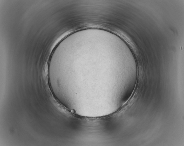 X0000113131198200909181703