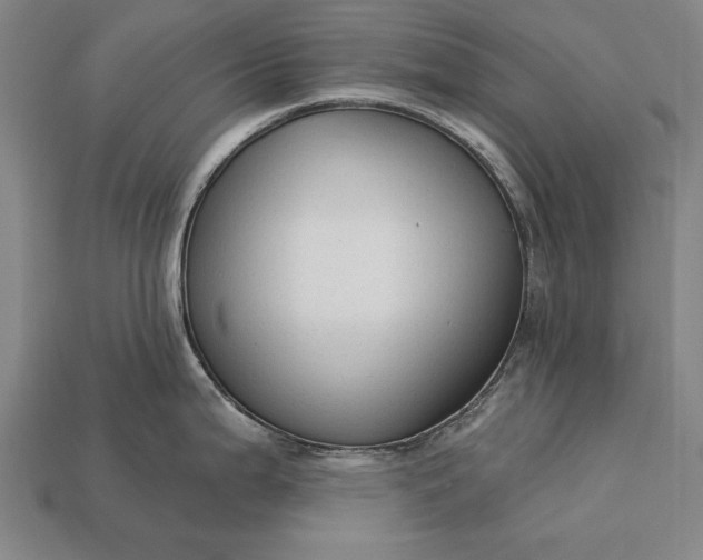 X0000113131199200909181703