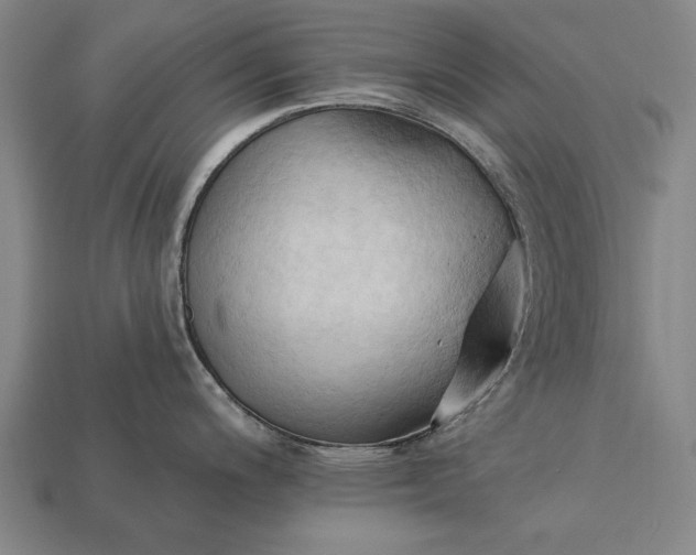 X0000113131200200909181703