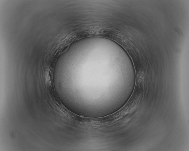 X0000113131202200909181702