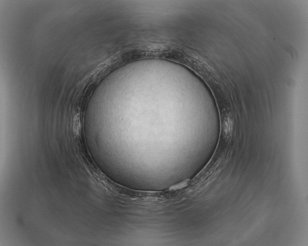 X0000113131204200909181702