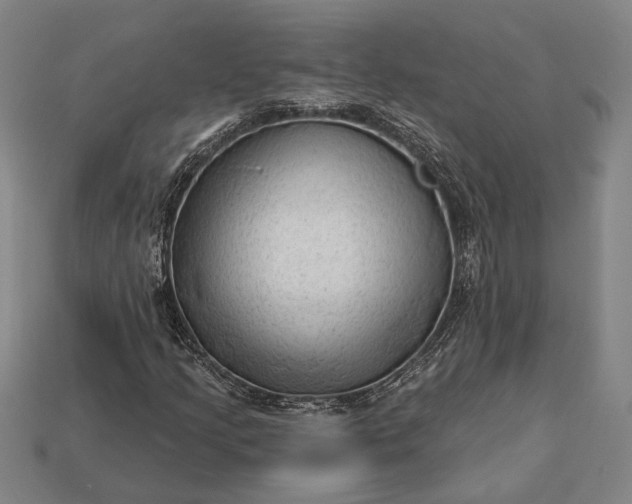 X0000113131205200909181702